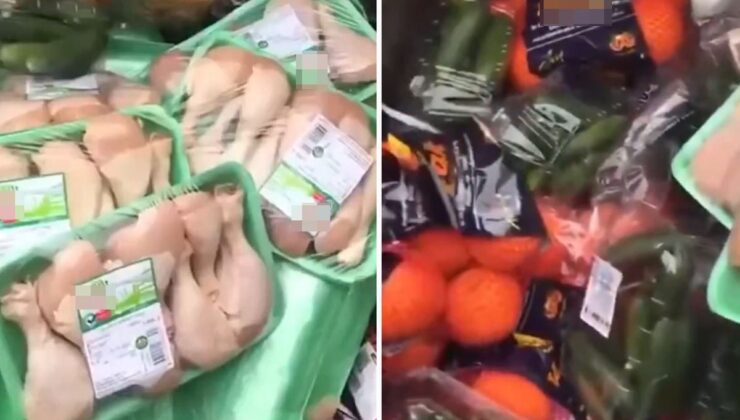 Paket paket tavuklar çöpe gitti