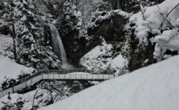 Rize’de kar yağışı etkisini sürdürüyor!