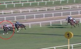 Sakatlanan yarış atıyla ilgili skandalda yeni gelişme! 132 bin TL ceza kesildi