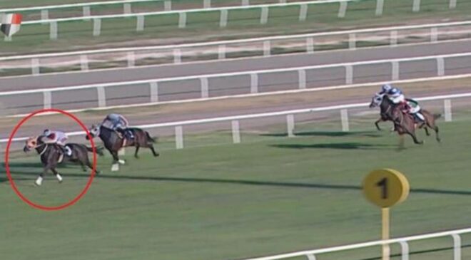 Sakatlanan yarış atıyla ilgili skandalda yeni gelişme! 132 bin TL ceza kesildi
