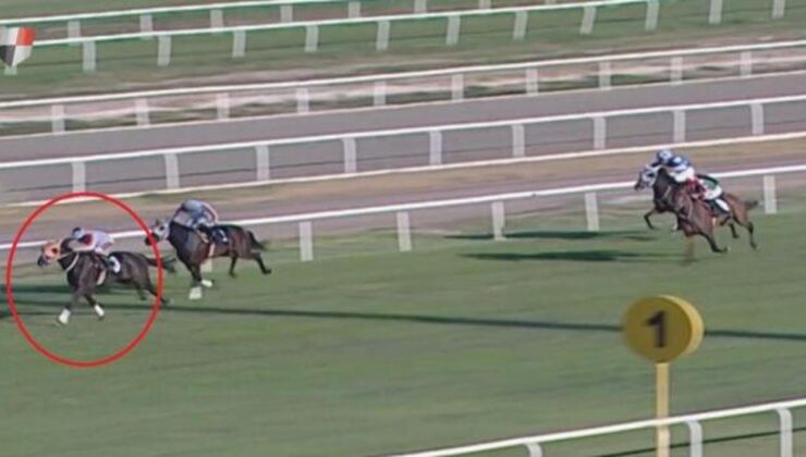 Sakatlanan yarış atıyla ilgili skandalda yeni gelişme! 132 bin TL ceza kesildi