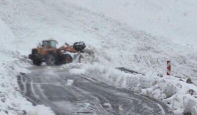 Şırnak-Hakkari yolunda çığ felaketi! 40 kişi mahsur kaldı, ekipler sevk edildi