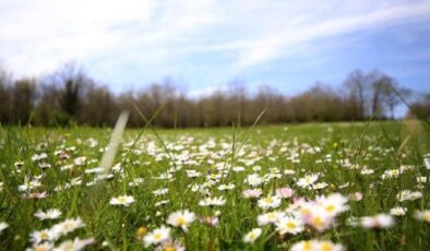 Son cemre toprakla buluştu