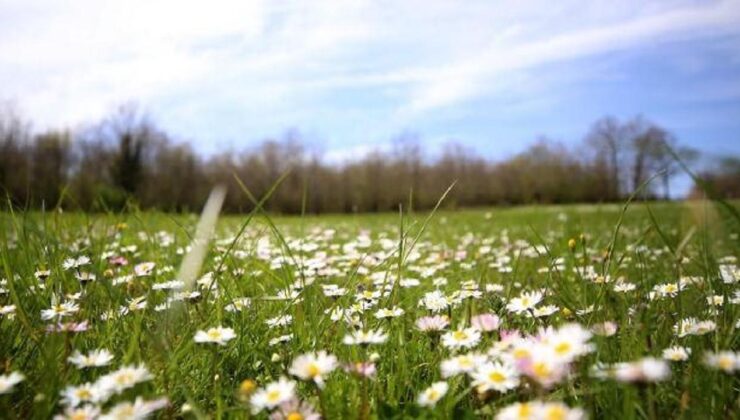 Son cemre toprakla buluştu