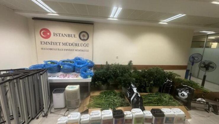 Sultanbeyli’de zehir dairesine baskın: Evin içine kenevir serası kurmuşlar!