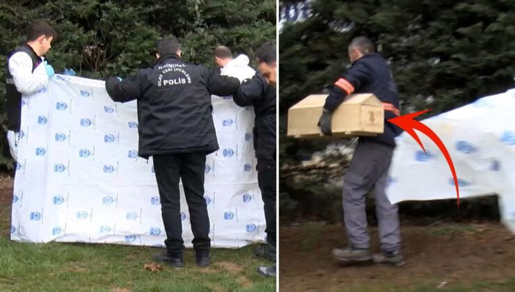 Yol kenarında yeni doğmuş bebek cesedi bulundu