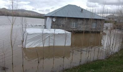 Ağrı’da sağanak yağış: Dereler taştı, evler ve tarım arazilerini su bastı!