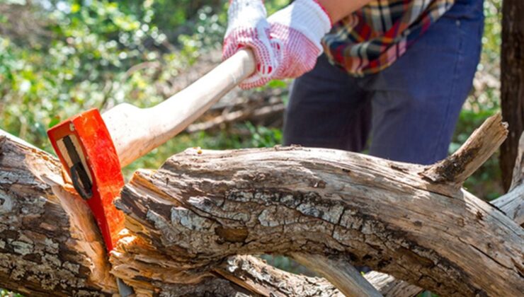 Alanya’da kestiği ağacın altında kalan kişi öldü