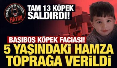 Başıboş köpek faciası! 5 yaşındaki Hamza toprağa verildi