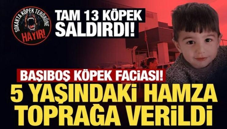 Başıboş köpek faciası! 5 yaşındaki Hamza toprağa verildi