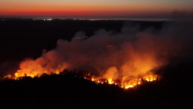 Beykoz’da ormanlık alanda çıkan yangın kontrol altına alındı