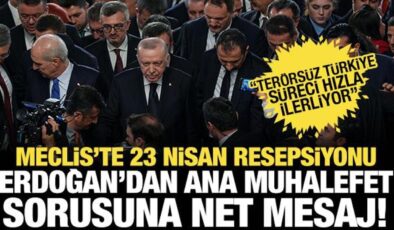 Cumhurbaşkanı Erdoğan: Ana muhalefet partisi ile tabii görüşeceğiz