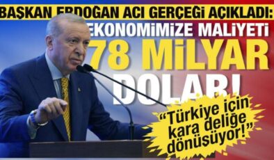 Cumhurbaşkanı Erdoğan: Bağımlılığın ekonomimize yıllık maliyeti 78 milyar dolar