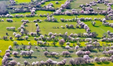 Görüntü İsviçre’den değil Türkiye’den