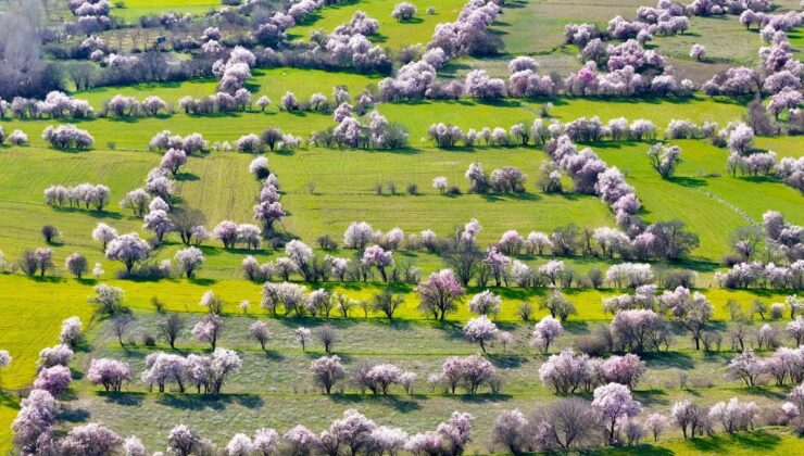 Görüntü İsviçre’den değil Türkiye’den