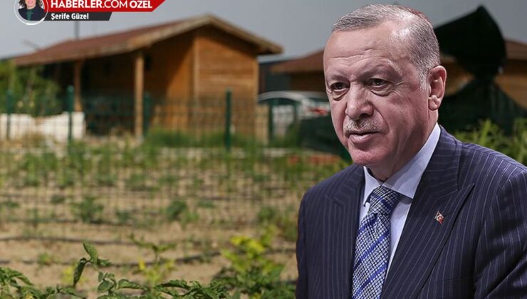 Hobi bahçeleri ne olacak? İşte Erdoğan’ın tartışmalı düzenleme için verdiği talimat
