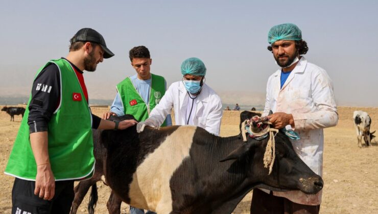 İHH yurt dışı kurban hisse bedelini açıkladı