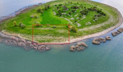 İsviçre değil Türkiye! Uyanık besici çoban masrafından böyle kurtuldu