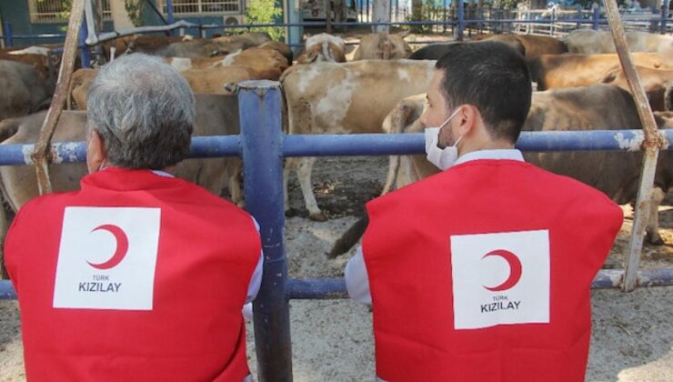 Kızılay’ın 2026 vekaletle kurban kesim fiyatı belli oldu!