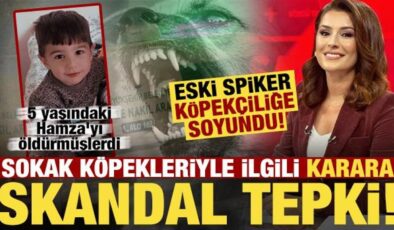 Köpekler 5 yaşındaki Hamza’yı öldürdü, eski spiker köpekçiliğe soyundu!
