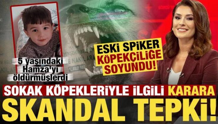 Köpekler 5 yaşındaki Hamza’yı öldürdü, eski spiker köpekçiliğe soyundu!