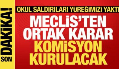 Okul saldırılarına ilişkin Meclis’te araştırma komisyonu kurulacak