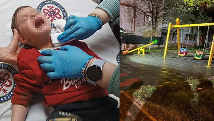 Parkta oynayan çocuğu bıçakladı