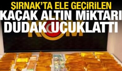 Şırnak’ta ele geçirilen kaçak altın, dolar ve euro miktarı dudak uçuklattı