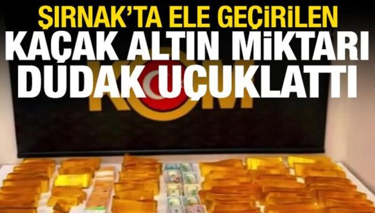Şırnak’ta ele geçirilen kaçak altın, dolar ve euro miktarı dudak uçuklattı