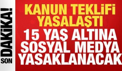 Son dakika haberi: Sosyal medya düzenlemesi ve doğum iznini içeren teklif kabul edildi!