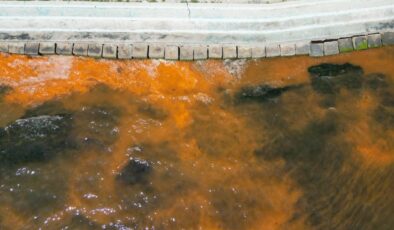 Tekirdağ’da denizin rengi değişti! Uzmanlardan açıklama geldi