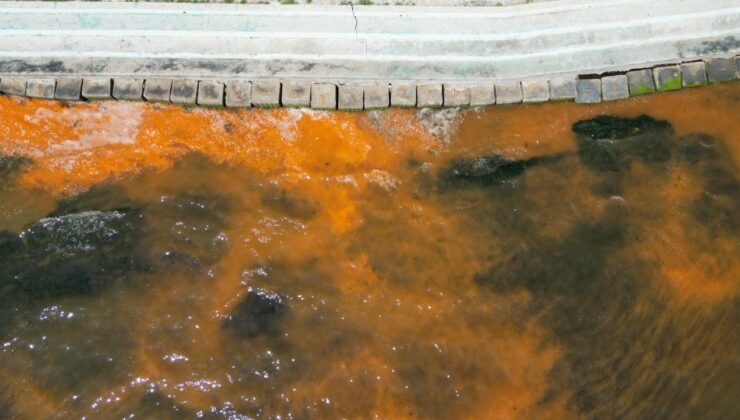 Tekirdağ’da denizin rengi değişti! Uzmanlardan açıklama geldi