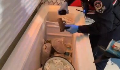 Tokat merkezli 4 ilde silah kaçakçılığı operasyonu: 44 gözaltı