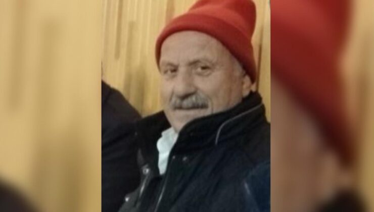 Yaşlı adamın kahreden ölümü: Kovana bakım yaparken arı soktu!