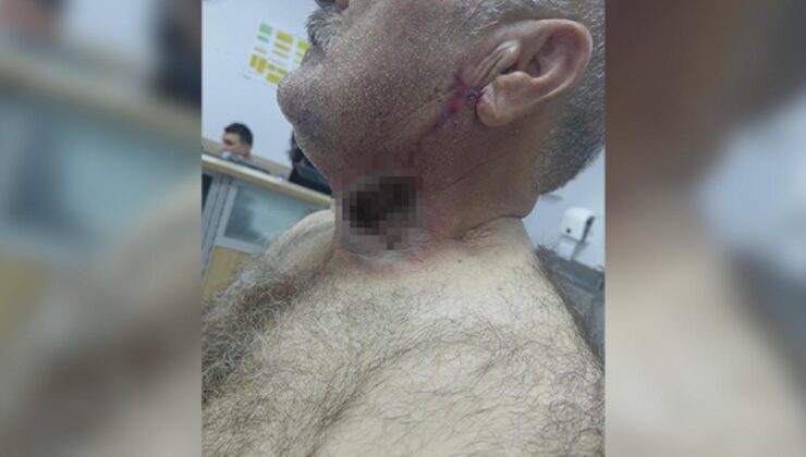 Yere düşürdü, üstünde tepindi: At, sahibini boğazından ısırdı!
