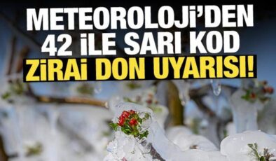 Zirai don uyarısı geldi: Meteoroloji’den 42 ile sarı kod!