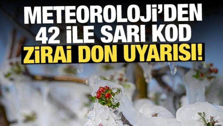 Zirai don uyarısı geldi: Meteoroloji’den 42 ile sarı kod!