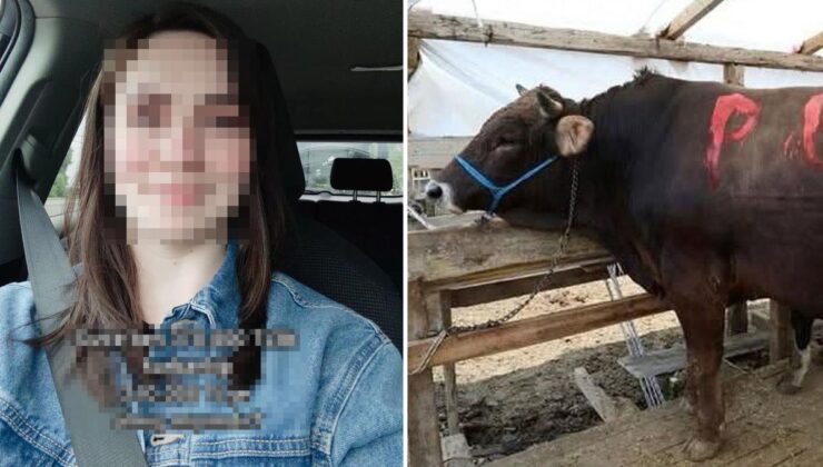370 bin TL’lik kurbanı 210 bin TL’ye aldı, sorduğu soru olay oldu