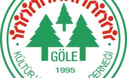 Ankara Göle Derneği’nin 16 Aylık Faaliyet Raporu Tartışma Yarattı