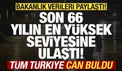 Bakanlıktan müjdeli haber! Son 66 yılın en yüksek seviyesine ulaştı! Türkiye can buldu