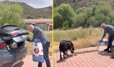 Bayram trafiğinde tepki çeken ‘Yol kenarına mama bırakın’ çağrısı!