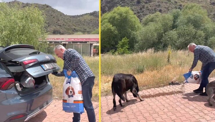 Bayram trafiğinde tepki çeken ‘Yol kenarına mama bırakın’ çağrısı!