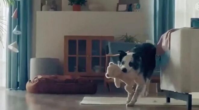 Bosch’un skandal reklamına tepkiler sürüyor: Türkiye’nin değer dünyası hafife alınıyor