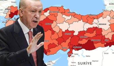 Cumhurbaşkanı Erdoğan "Felaketi yaşıyoruz" demişti! Aile ve Nüfus On Yılı konulu genelge Resmi Gazete’de
