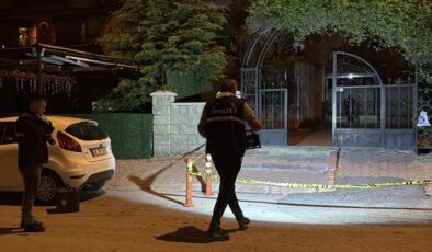 Darbedilen kadını kurtarmaya çalışan iki kardeş bıçaklandı