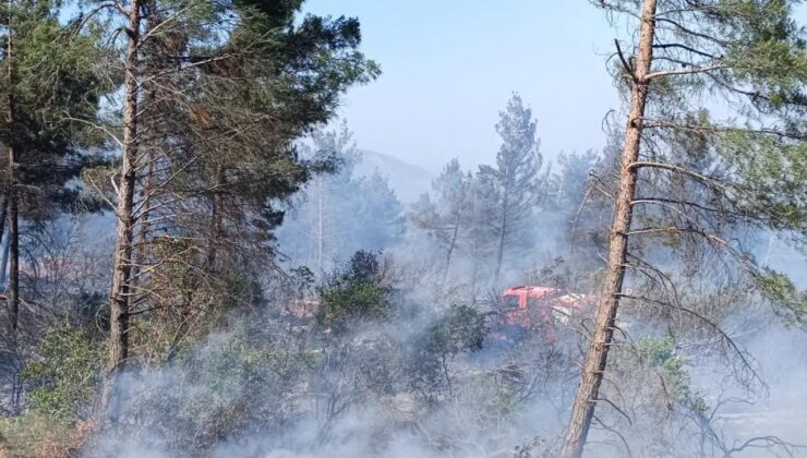 Hatay’da orman yangını