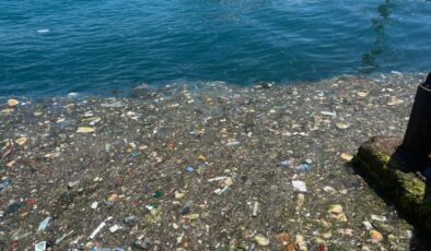 İstanbul Boğazı’nda ‘pes’ dedirten manzara: Sahile gelenler şoke oldu!