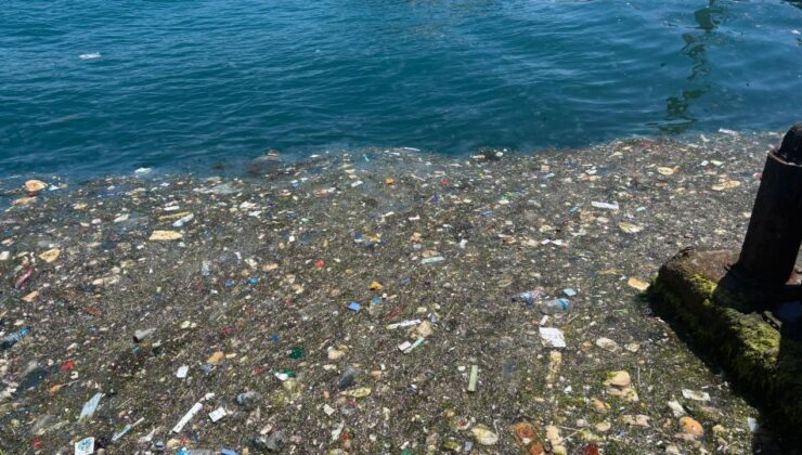 İstanbul Boğazı’nda ‘pes’ dedirten manzara: Sahile gelenler şoke oldu!