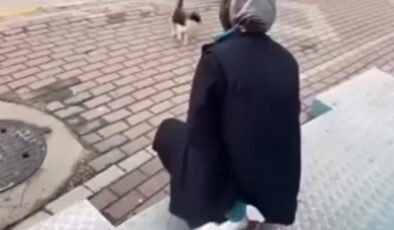 Kedinin yüzüne sprey sıkan market çalışanı gözaltına alındı