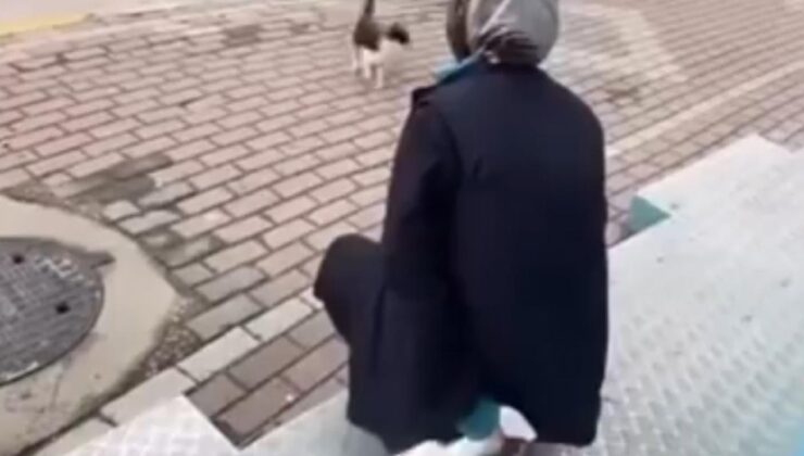 Kedinin yüzüne sprey sıkan market çalışanı gözaltına alındı